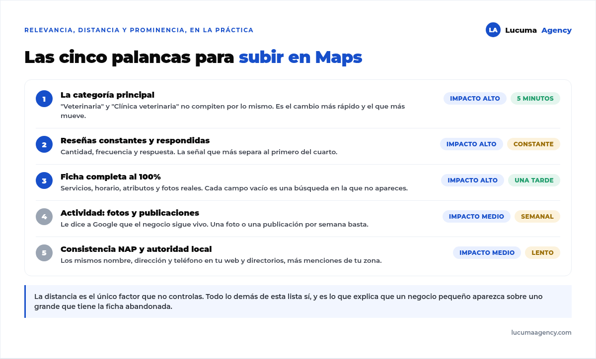 Las cinco palancas para subir en Google Maps ordenadas por impacto y esfuerzo: categoría principal, reseñas constantes y respondidas, ficha completa al 100%, actividad con fotos y publicaciones, y consistencia NAP con autoridad local