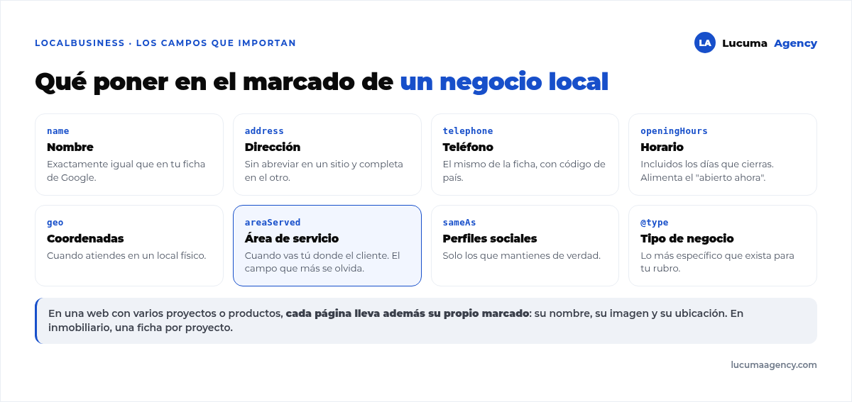 Los campos de datos estructurados que importan en un negocio local: nombre, dirección, teléfono, horario, coordenadas, perfiles sociales, área de servicio y tipo de negocio
